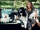 Jennifer Lawrence with Dogs