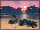 World Of Warcraft: Mists of Pandaria