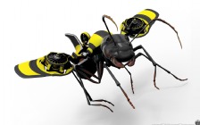 3D Ant with a Wasp Flying Mechanism