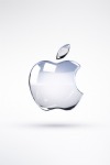 Apple Logo, Silver, Glossy