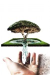Art: Tree, Lake, Hand
