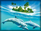 Dolphins under the Sea