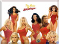 The Babes of Baywatch