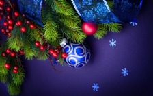 Christmas Baubles & Pine Branch