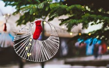 Christmas Stocking on a Pine Tree
