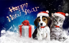 Happy New Year, Puppy and Kitten