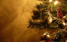 Christmas Pine Tree