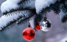 Christmas Baubles on a Pine Tree