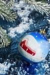 Christmas Bauble with a Pine Branch