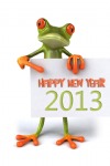 New Year 2013, Frog