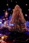 Christmas Tree, Lights, Ljubljana, Slovenia