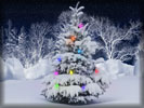 Christmas Tree, Lights, Snow