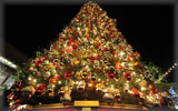 Big Christmas Tree, Lights