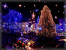 Christmas Tree, Lights, Ljubljana, Slovenia