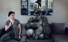 Guy with Banana, Gorilla