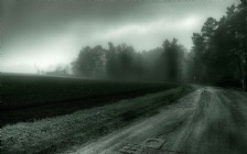 Road on a Dull Gray Day