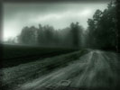 Road on a Dull Gray Day