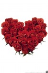 Valentine's Day, Red Roses Bouquet