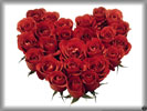 Valentine's Day, Red Roses Bouquet