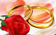 Wedding Rings & Red Rose