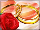 Wedding Rings & Red Rose