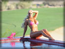 Nicole Austin aka Coco in Bikini by the Swimming Pool