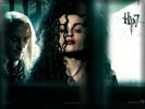 Harry Potter 7, Helena Bonham Carter as Bellatrix