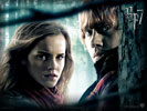Harry Potter 7, Emma Watson and Rupert Grint