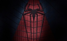 The Amazing Spider-Man 2: Spider Logo
