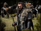 The Hobbit: Richard Armitage as Thorin Oakenshield