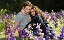 Twilight Saga: Breaking Dawn: Part 2, Edward and Bella
