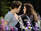 Twilight Saga: Breaking Dawn: Part 2, Kristen Stewart & Robert Pattinson