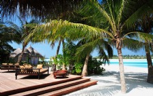 Beach and Sea, Palm Trees, Maldives