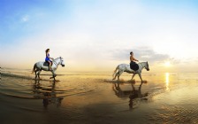 Beach and Sea, Horses, Couple