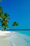 Beach And Sea, Coconut Palms, White Sand