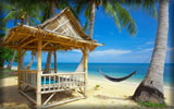 Beach and Sea, Hut, Palm Trees