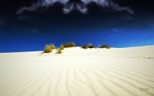 White Sand in the Desert