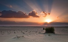 Desert, Sunset