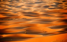 Sahara, Morocco, Dunes