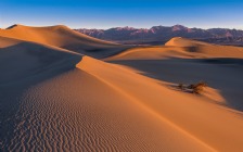 Desert, Dunes