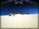 White Sand in the Desert
