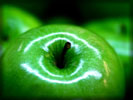 Green Apple, Macro