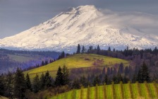 Mount Adams, Washington, USA