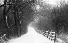 Winter Country Trail