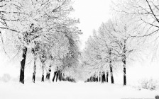 Winter, Snowy Alley