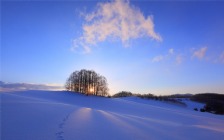 Winter, Snow, Hill