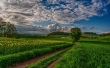 Green Field, HDR