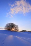 Winter, Snow, Hill