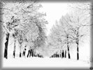Winter, Snowy Alley