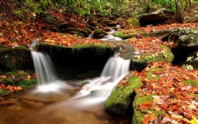Waterfalls, Autumn Leaves